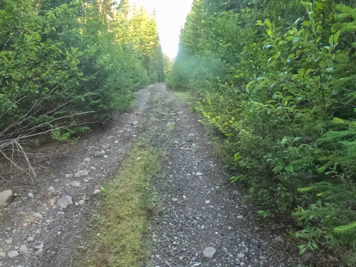 Camp Creek Road - FS 2266-330 photo 2