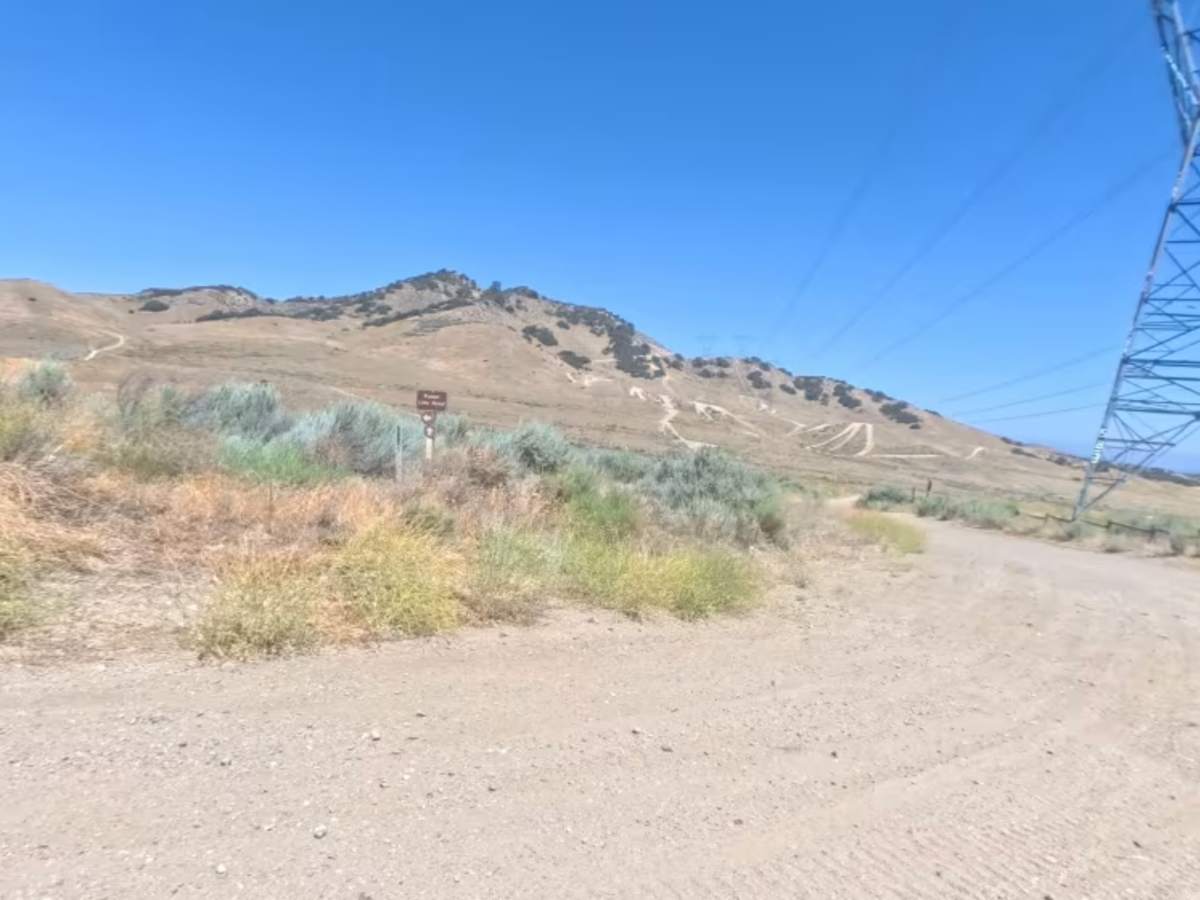 Powerline Road photo 5