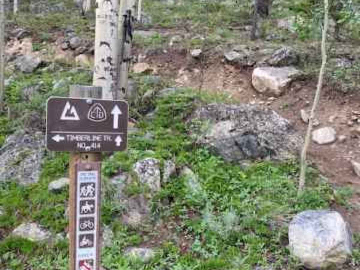 Texas Creek (FSR 755) photo 4