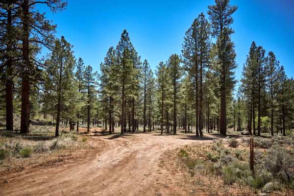 Old 2604 Road