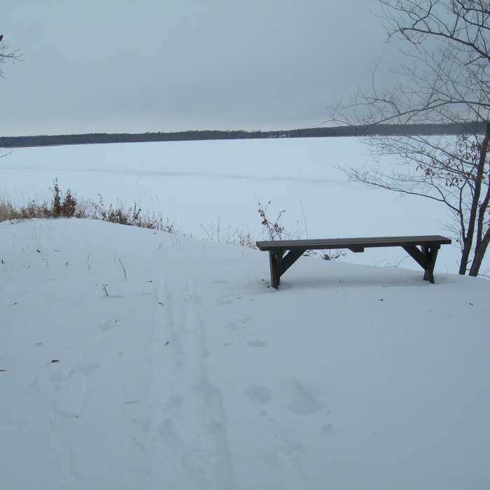Near Tamarac Lake Loop Trail