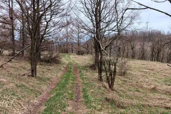 Trail 4K - Rock Run Recreation Area