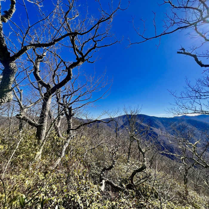 Near Fork Mountain