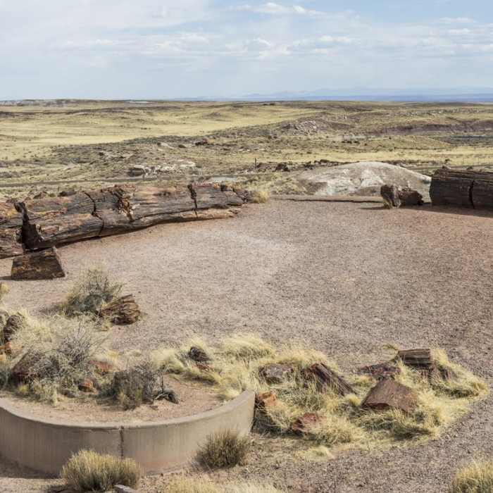 Near Giant Logs Trail Near Giant Logs Trail