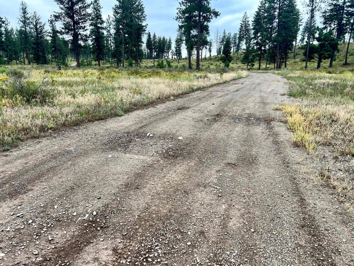 Loon Lake Meadows photo 5
