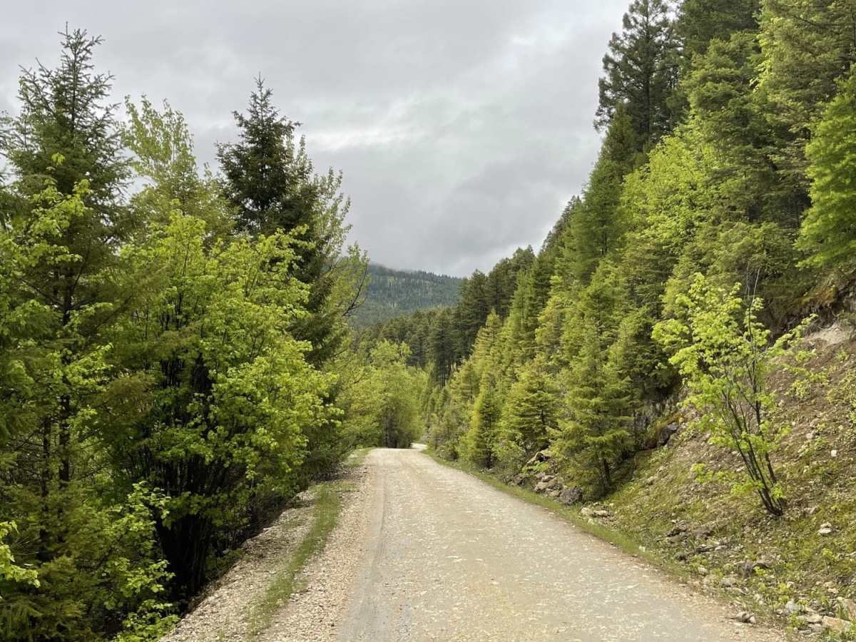 Eastern Garnet Range Road photo 3