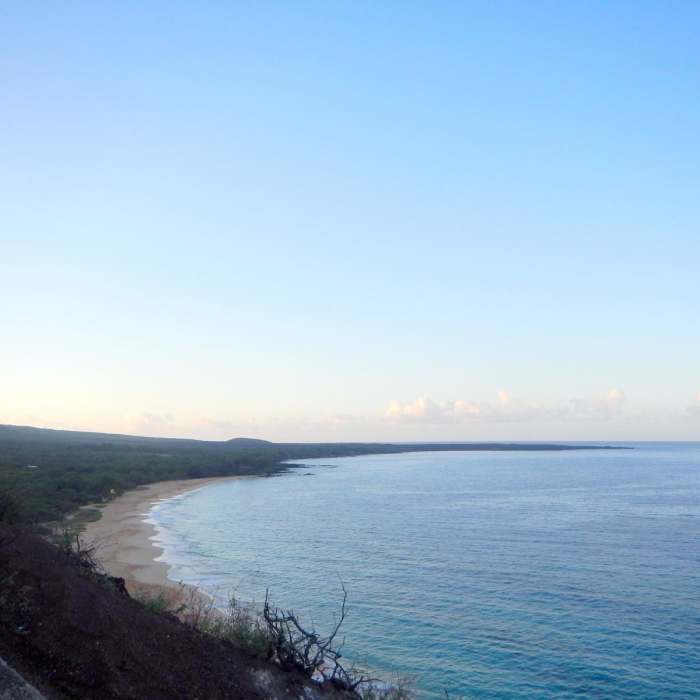 Near Pu'u Ola'i / Red Hill