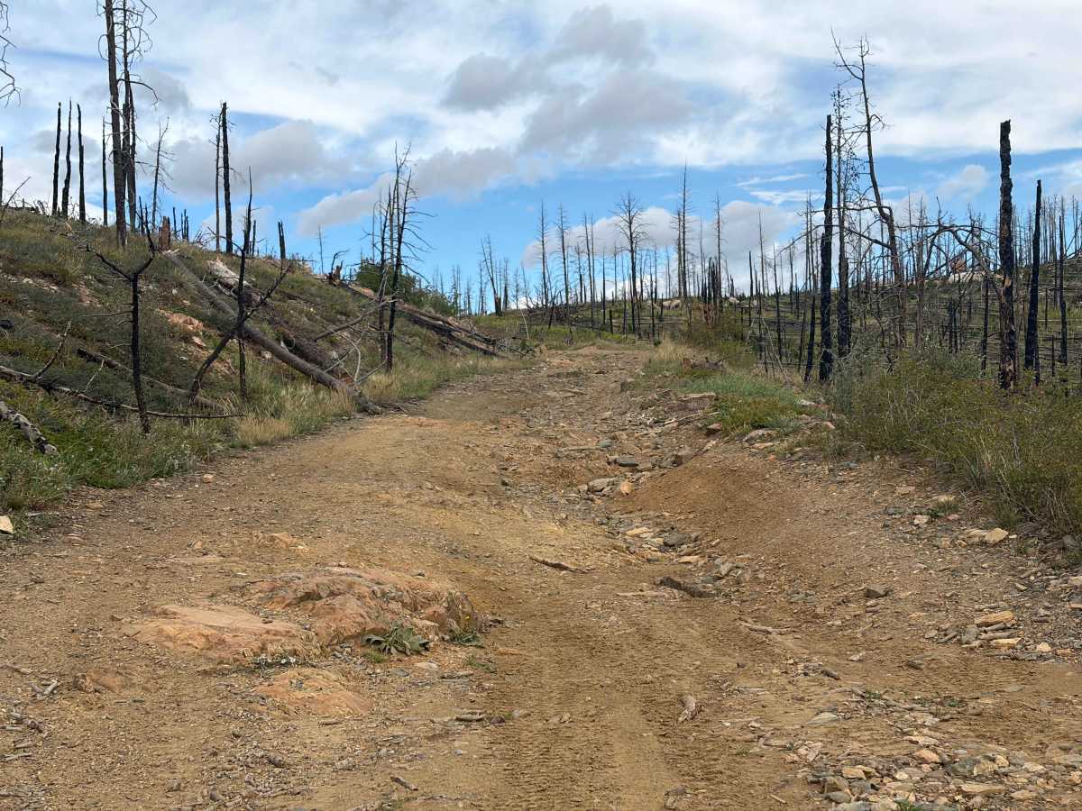 Green Pig Road trail photo