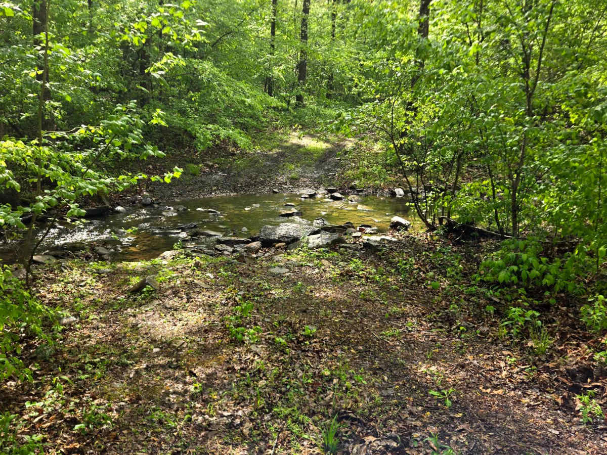 Burr Ridge photo 4