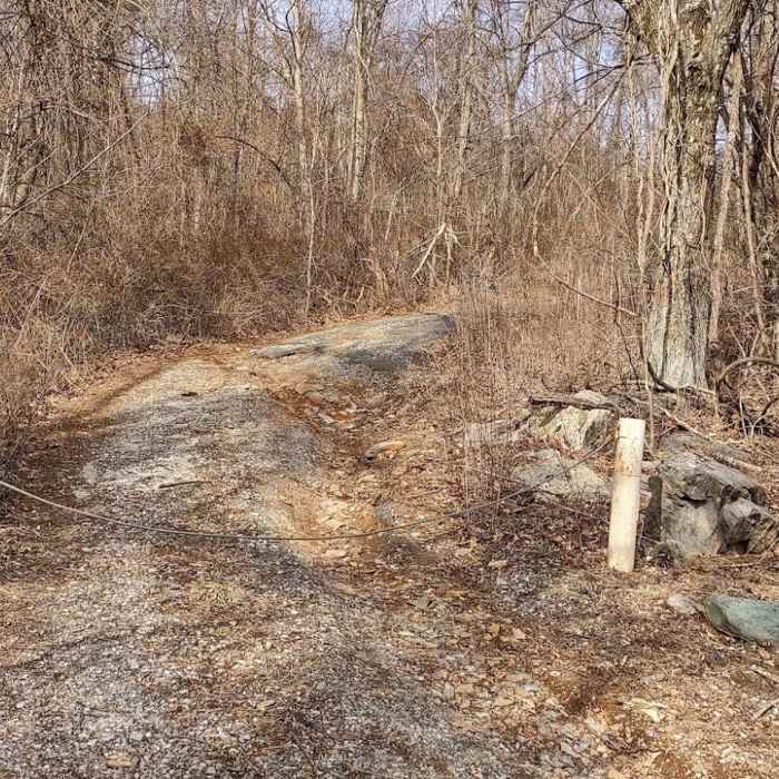 Trail-head off of Skyline Drive. Parking for 2-3 cars. Near Bear Den Mountain Trail