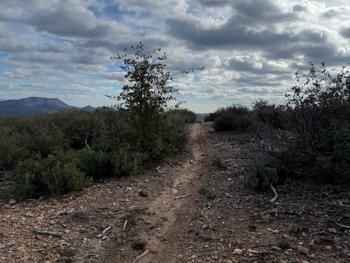 Merritt Spring Trail #9  photo 5