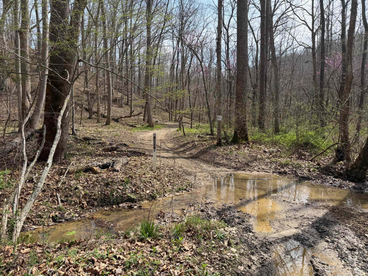 Wolcott Loop photo 2