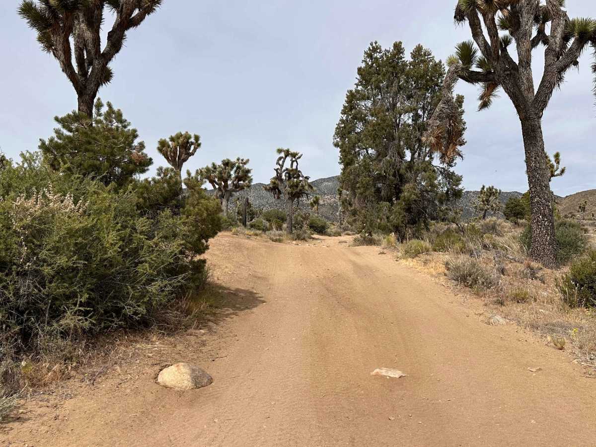 Longview Wash photo 5