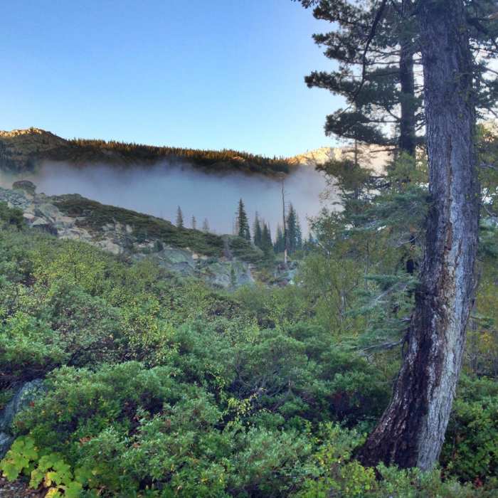 Near Rock Lake + Jamison Lake