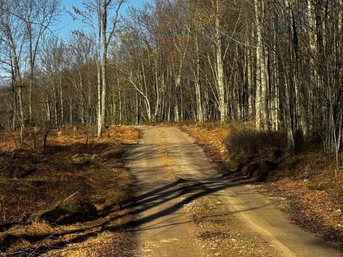 Bailer Run Trail photo 5