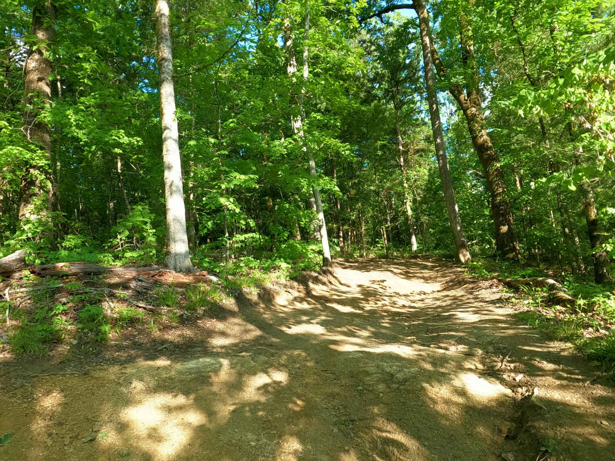 Volunteer Bridge Bypass photo 3