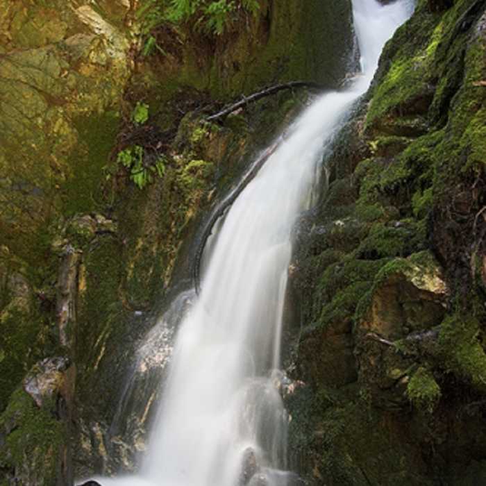 Near Canyon Falls Trail