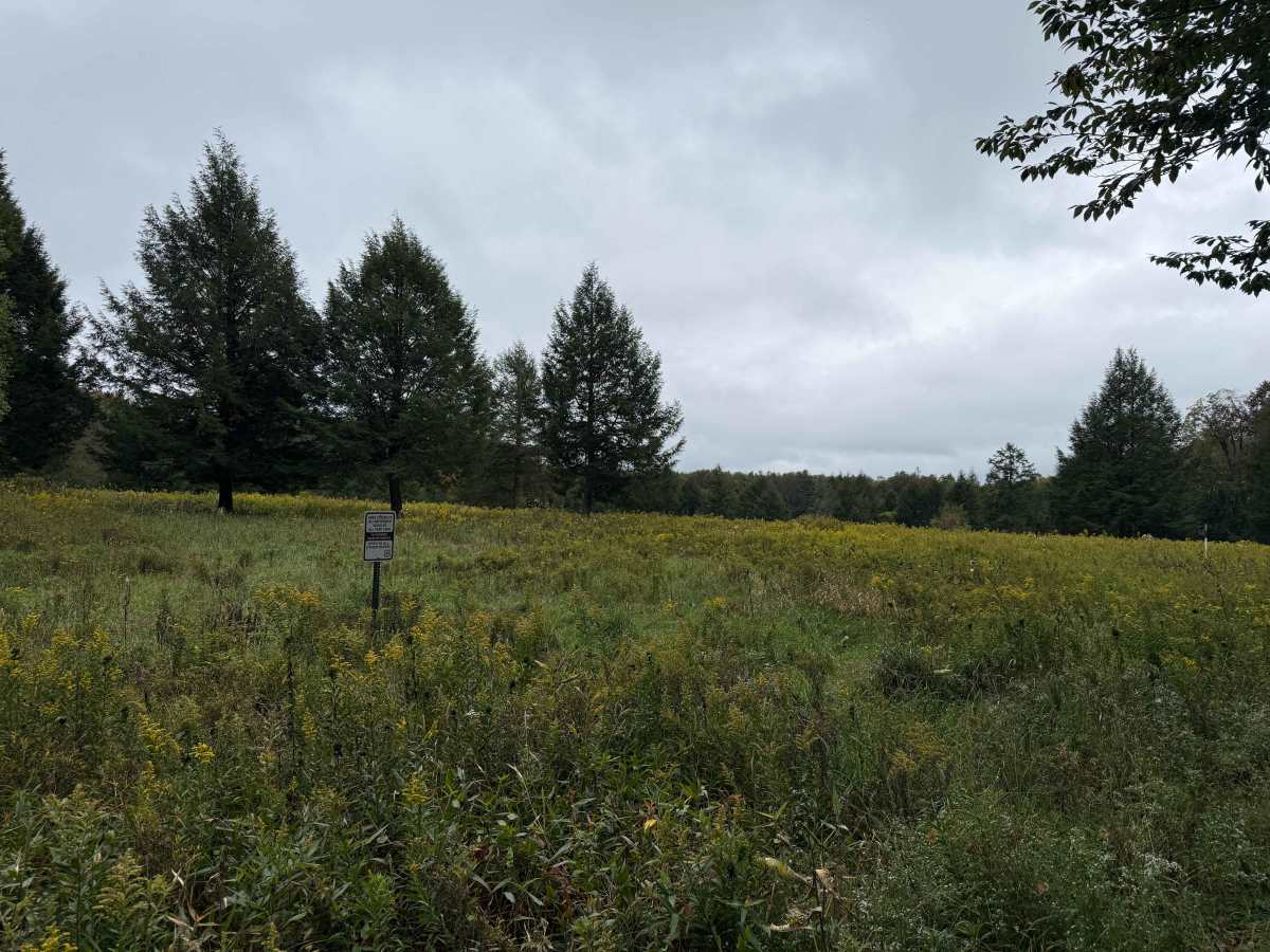 County Line B - FS 120B  photo 5