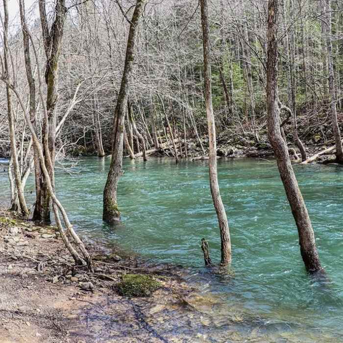 Near Ranger Falls Trail