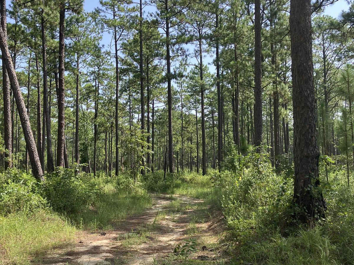 S102 photo 6