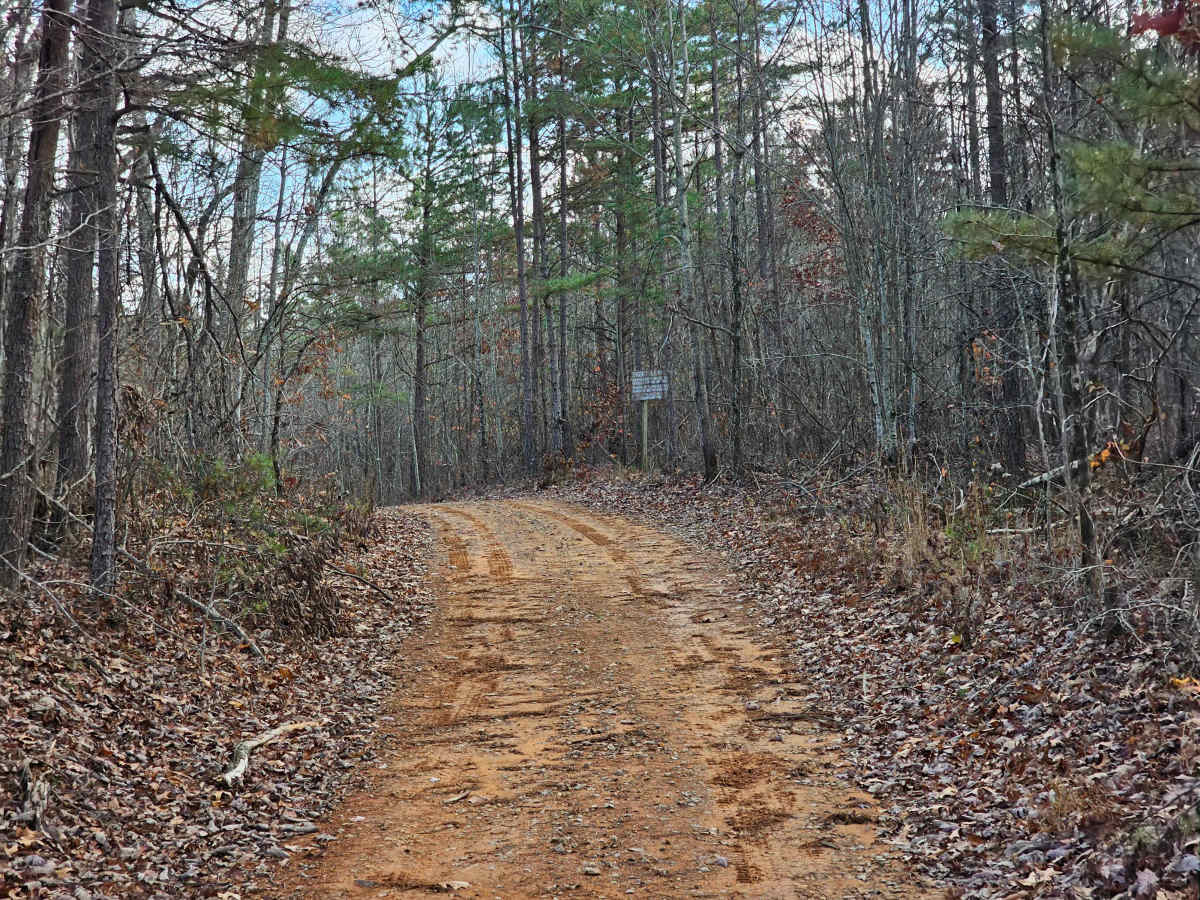 Mule Trail photo 2