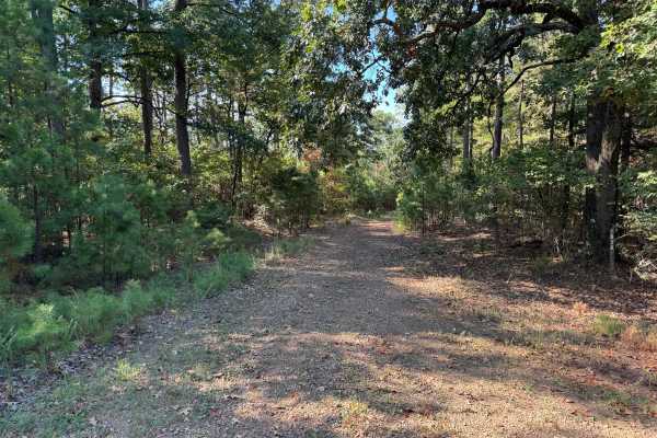 Crow