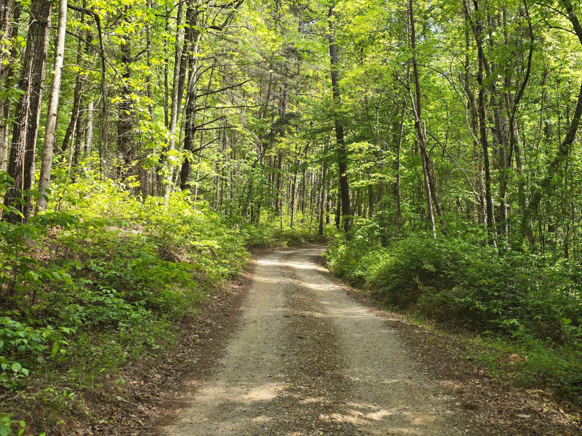 Little Dam Road photo 2