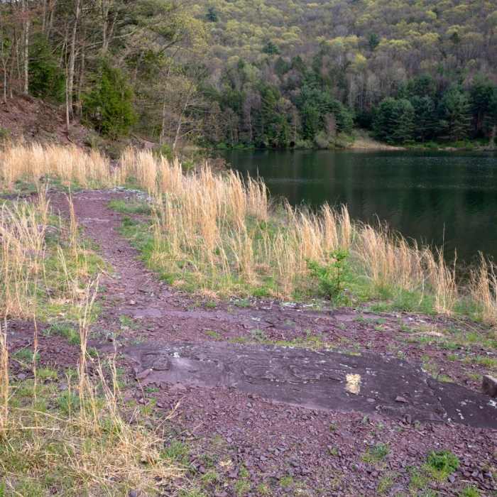 Near Lake View Trail Near Lake View Trail