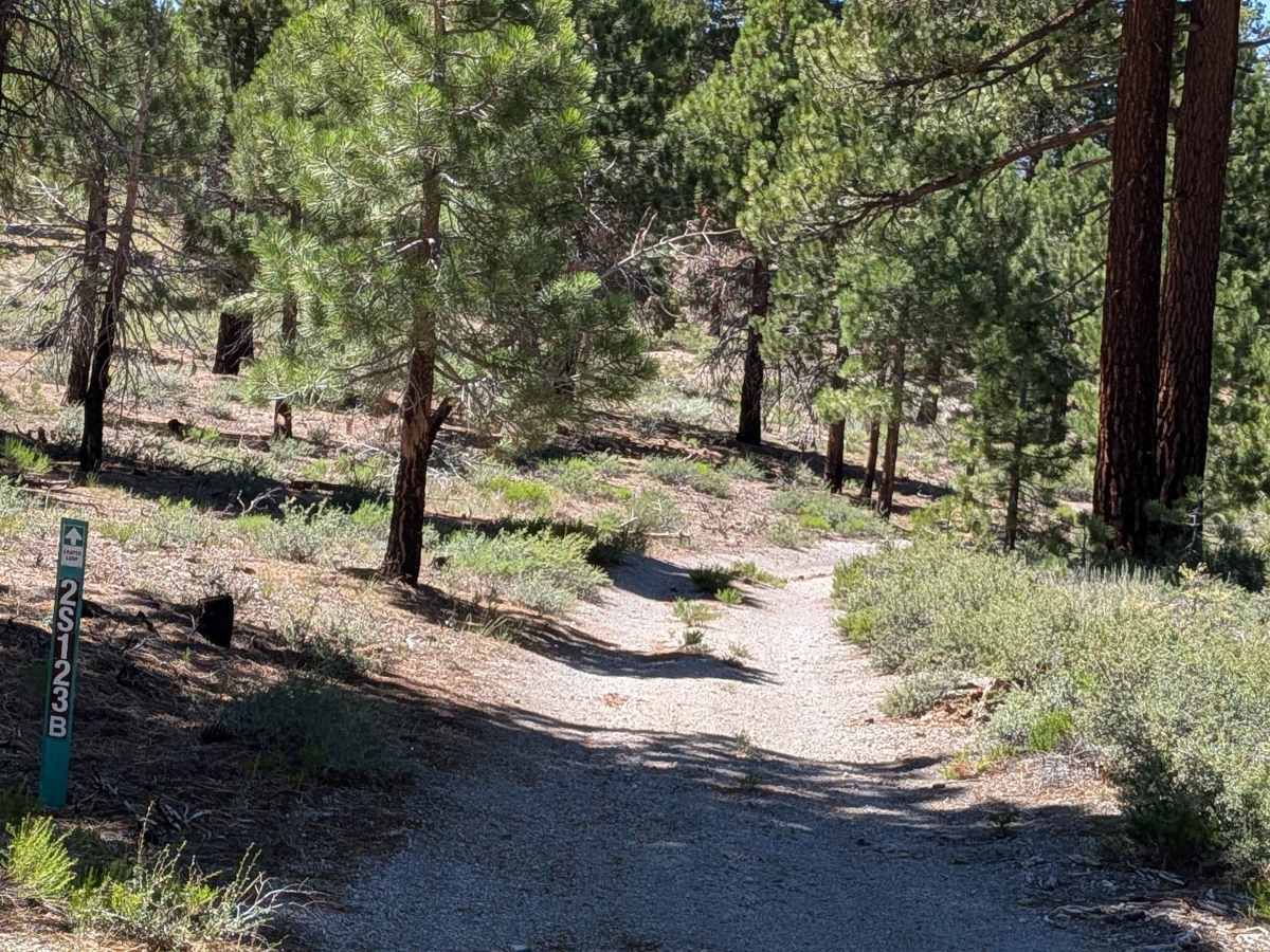 FS 2S123B trail photo