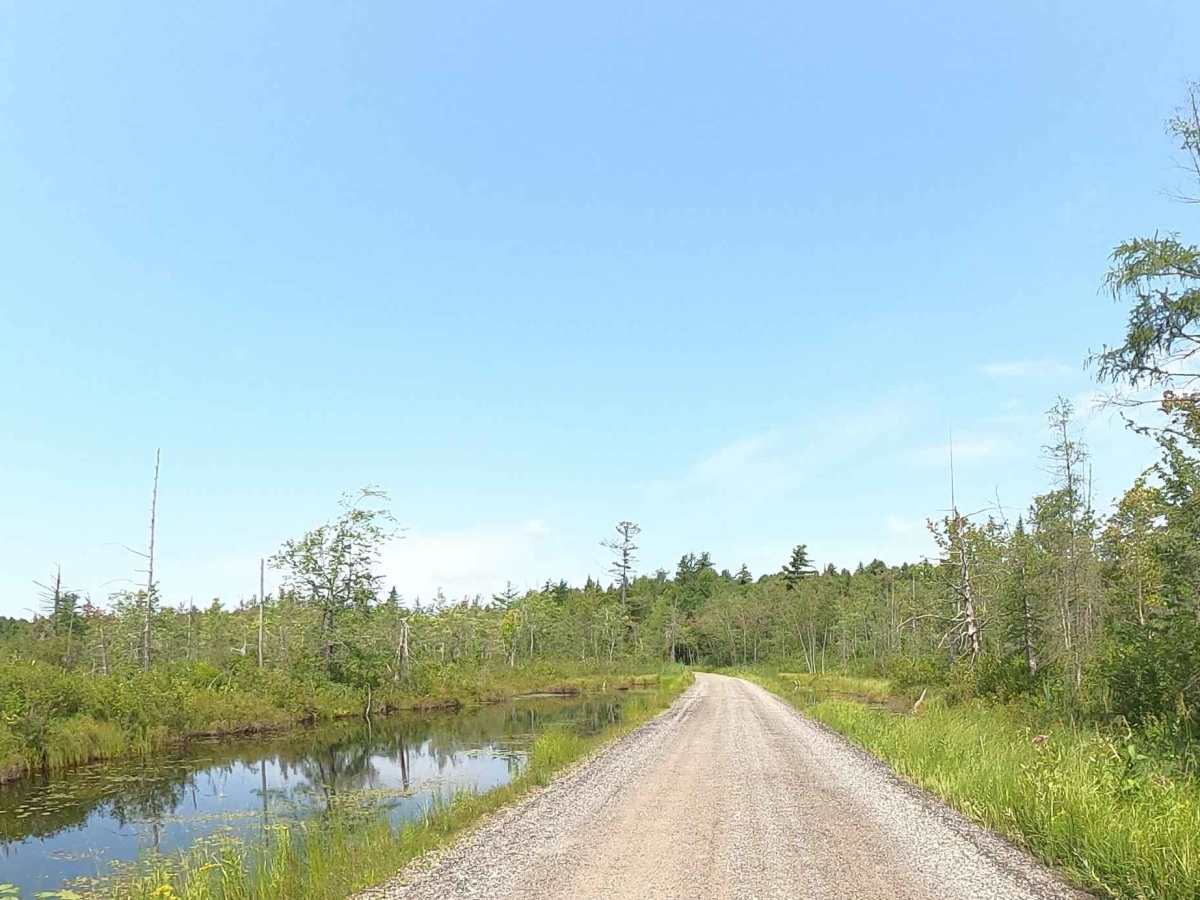 White Road photo 6