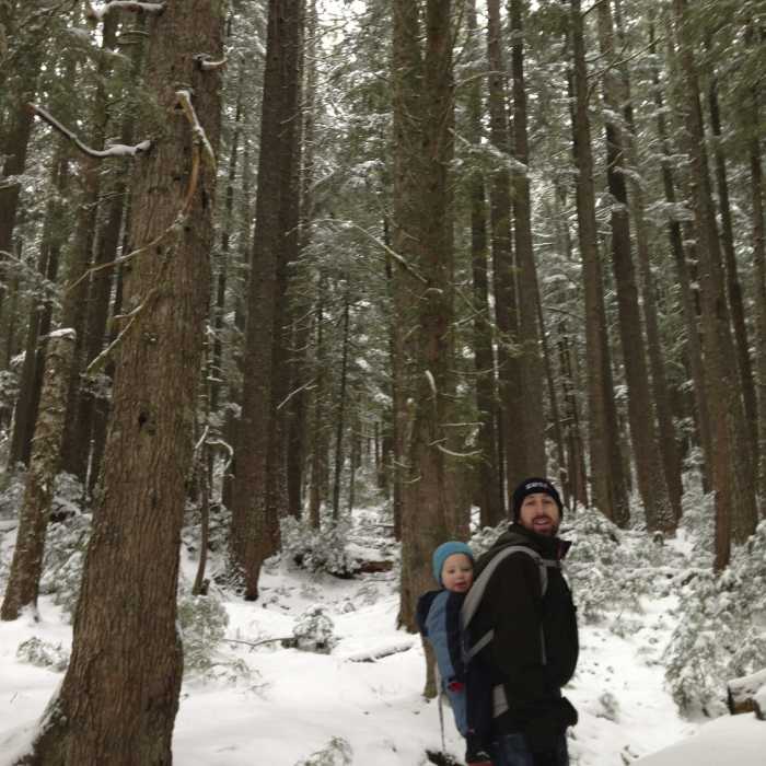 Near Rampart Ridge