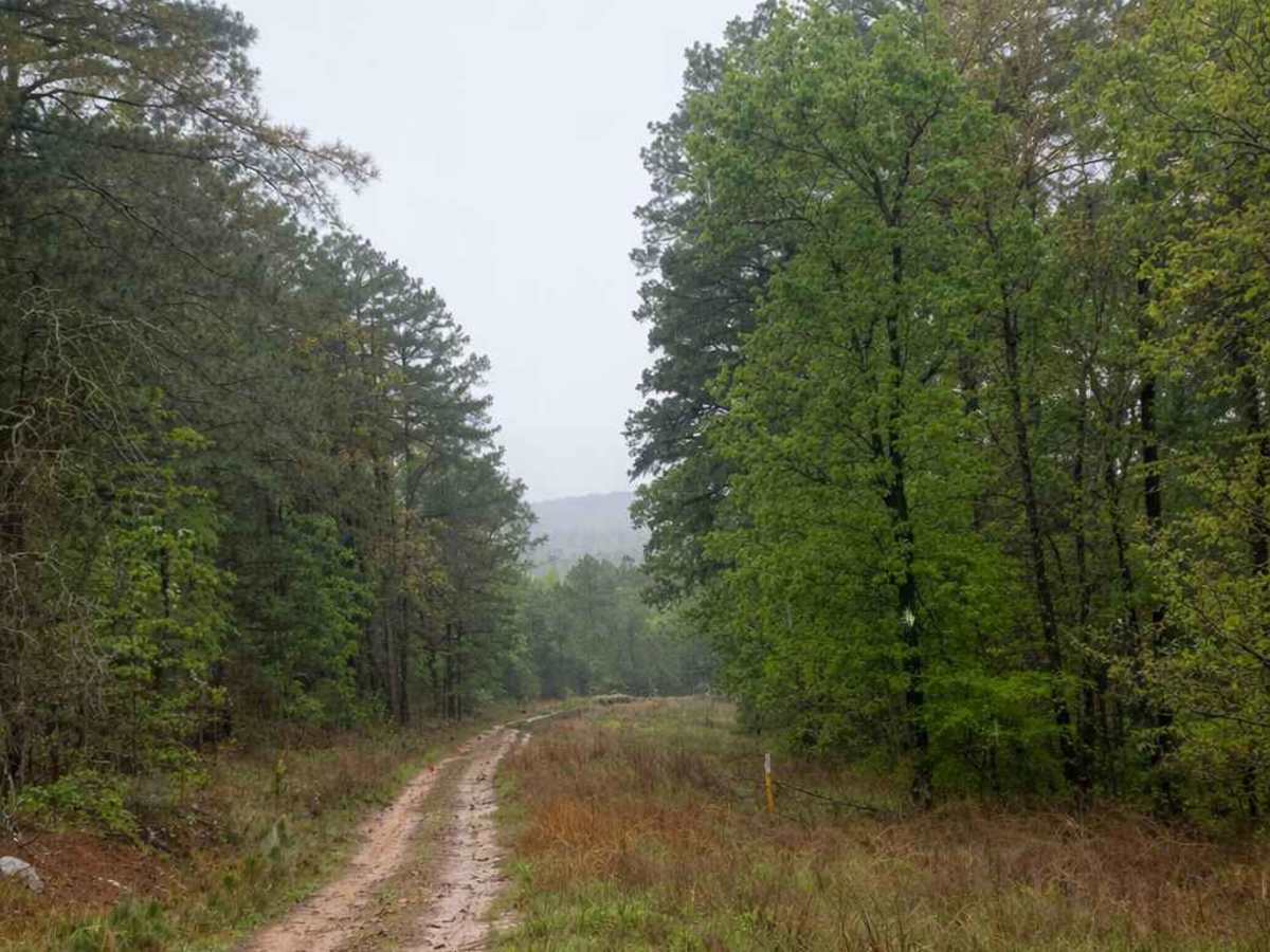 Horne Road trail photo