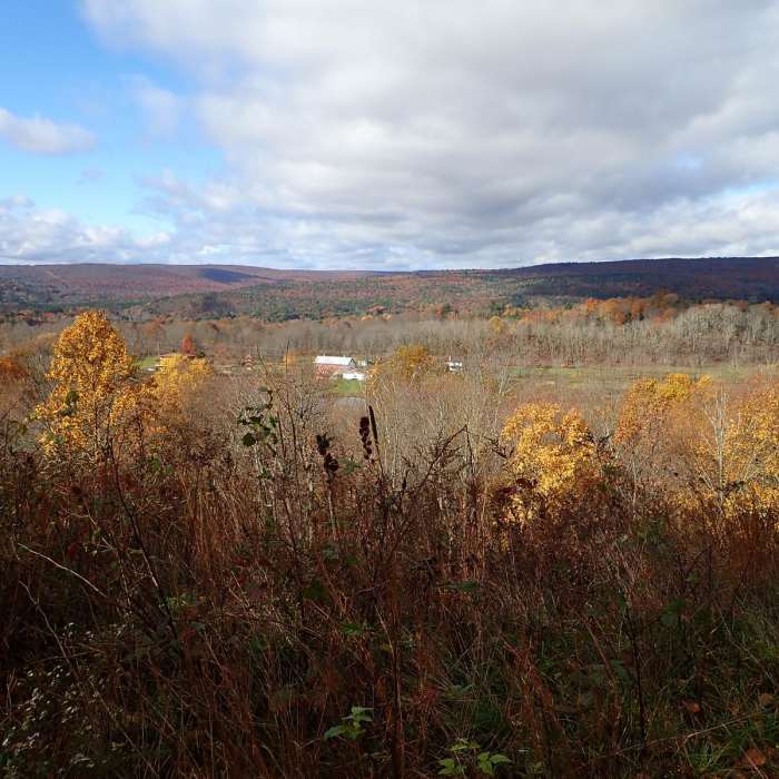 Near Shawangunk Ridge Trail: Graham Mountain Section Near Shawangunk Ridge Trail: Graham Mountain Section