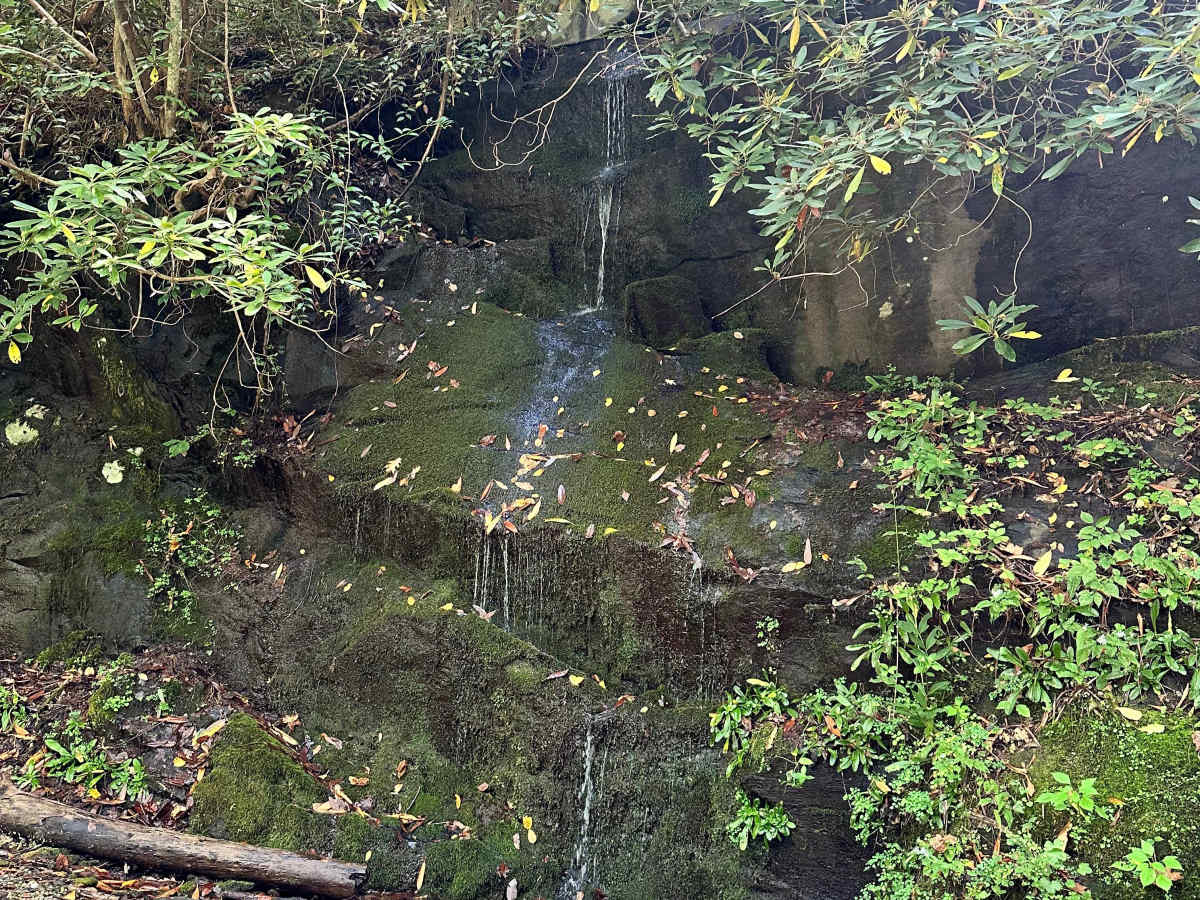 Slickrock Road photo 3