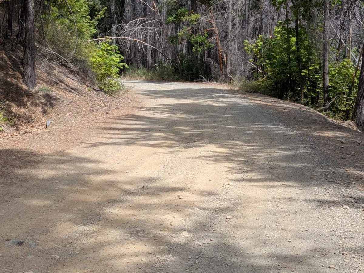 Soldier Creek Road - FS 33N47  photo 5