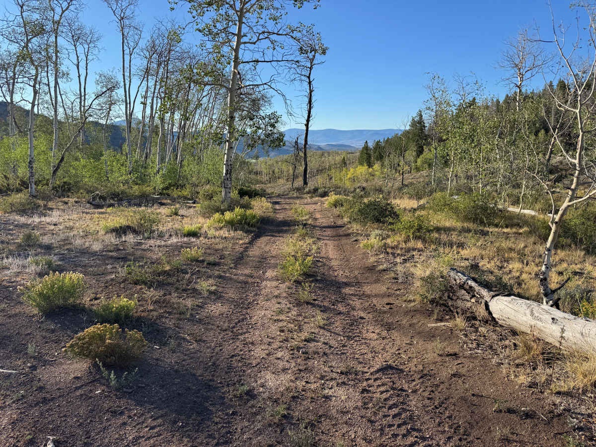 Big Gulch Road photo 2
