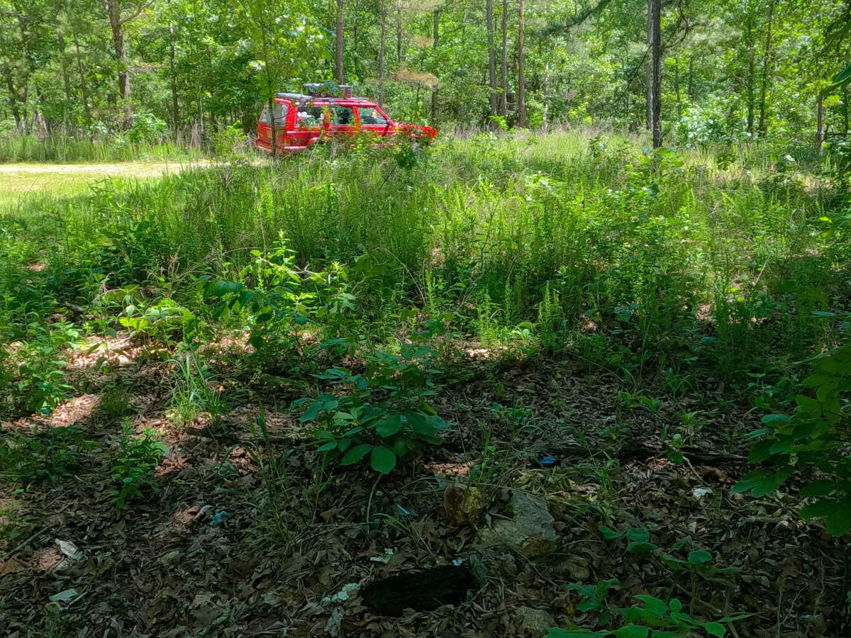 West Cane - FS 3759 photo 5