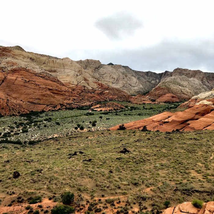 Near Petrified Dunes Trail