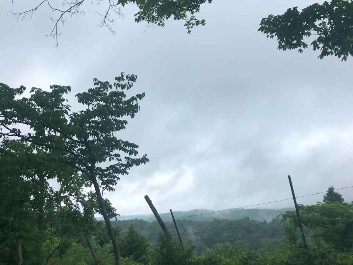 Old Forest Ridge Road trail photo
