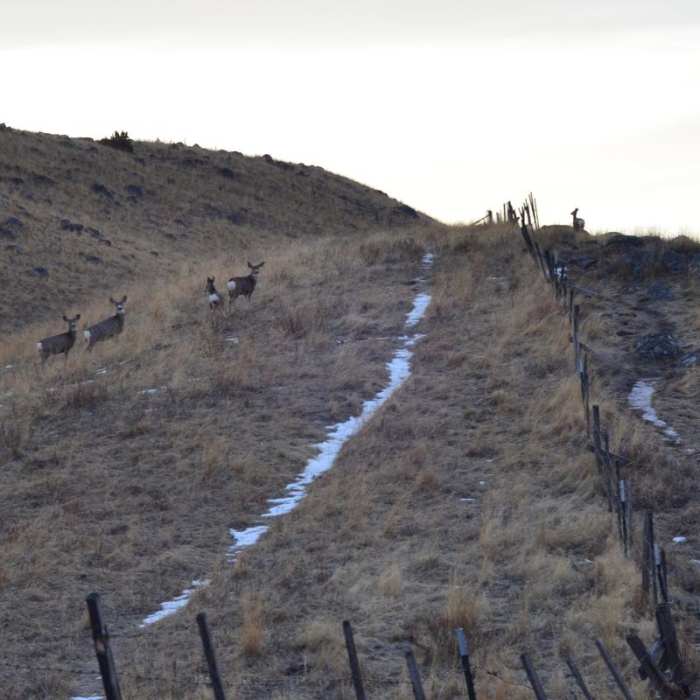 Near East Moraine, Wallowa Lake