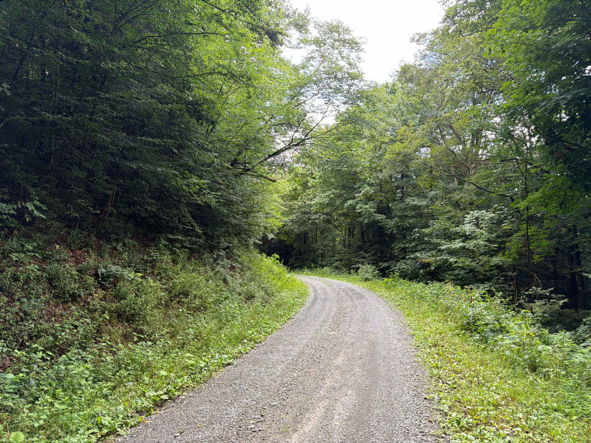 Dogway South - CFR 232 photo 2