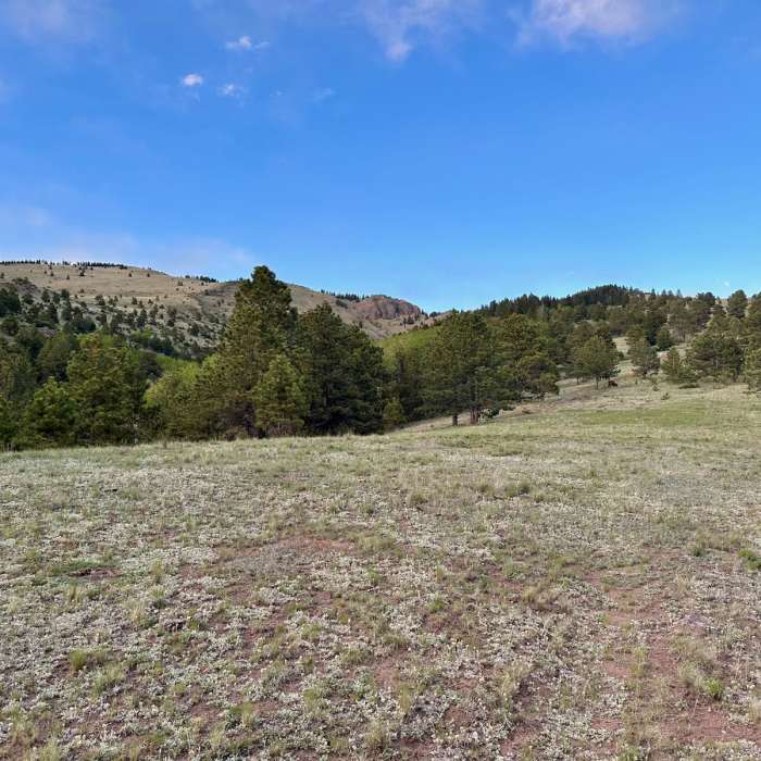 Near CDT: Mount Taylor Alternate