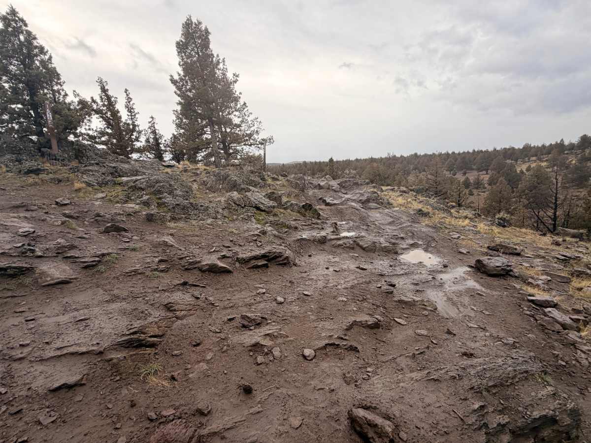 Cline Butte Trail 16 photo 6
