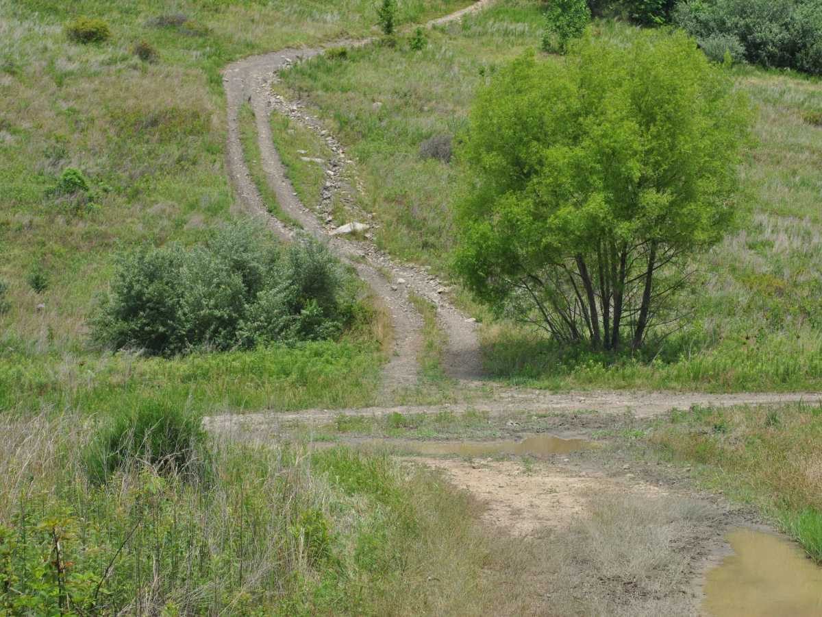 19 photo 5
