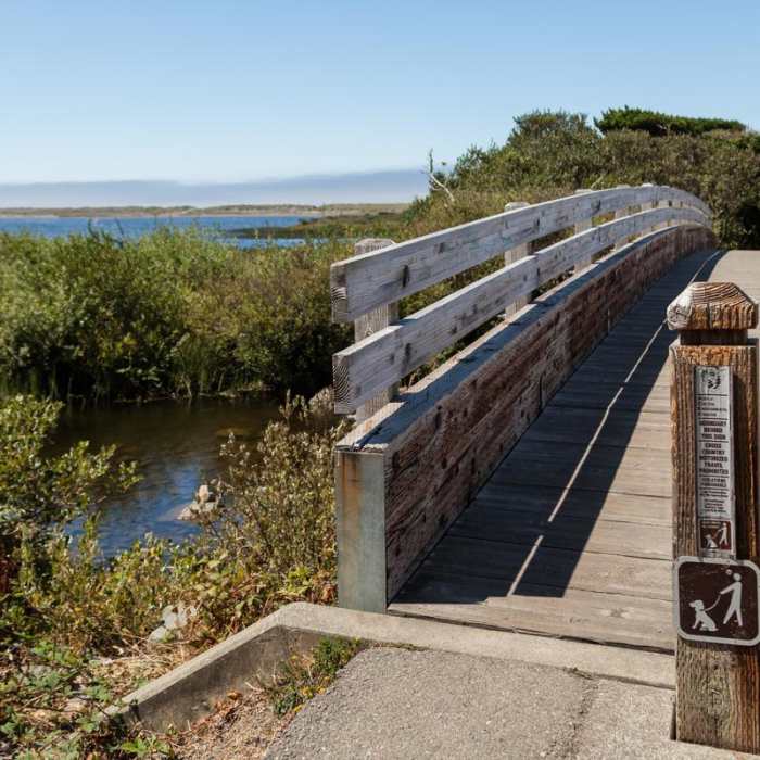 Near Floras Lake Trail Hike