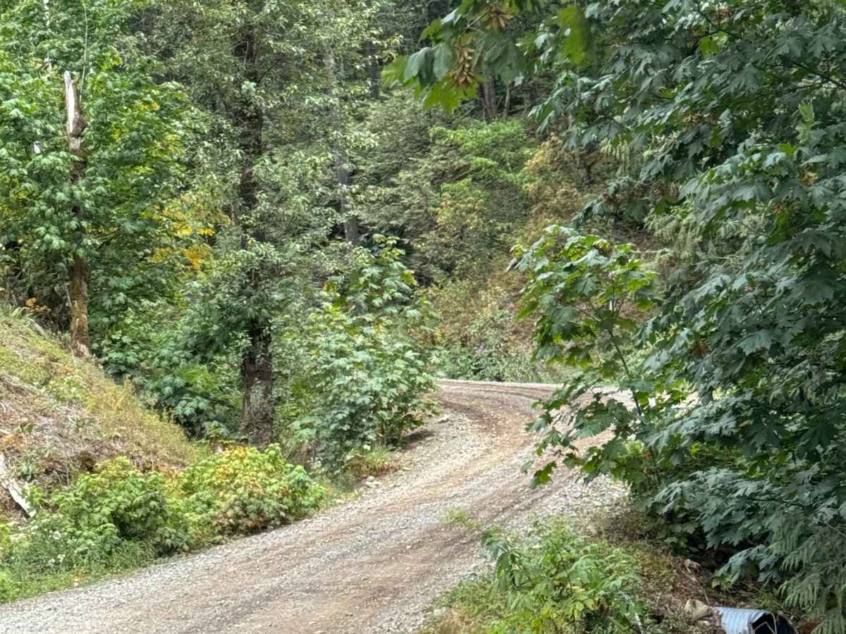 Francis Lake Back Entry photo 3