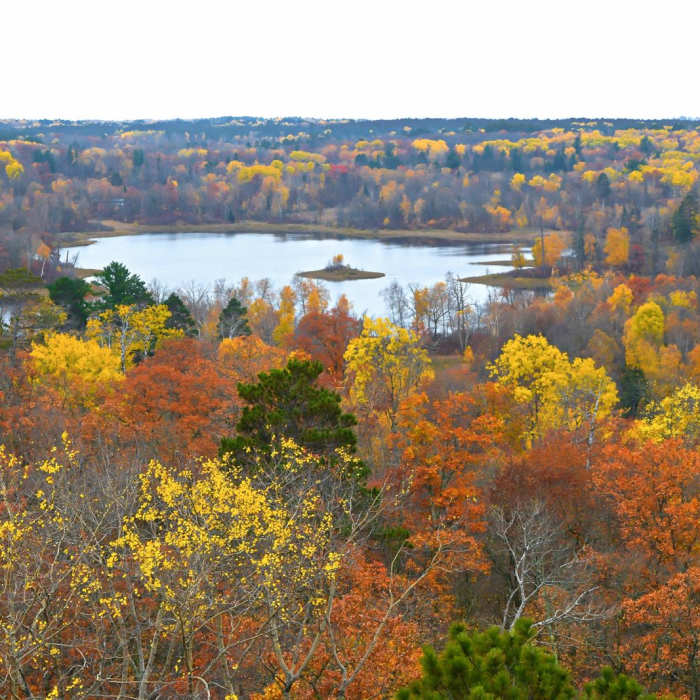 Near Aiton Heights Fire Tower Near Aiton Heights Fire Tower