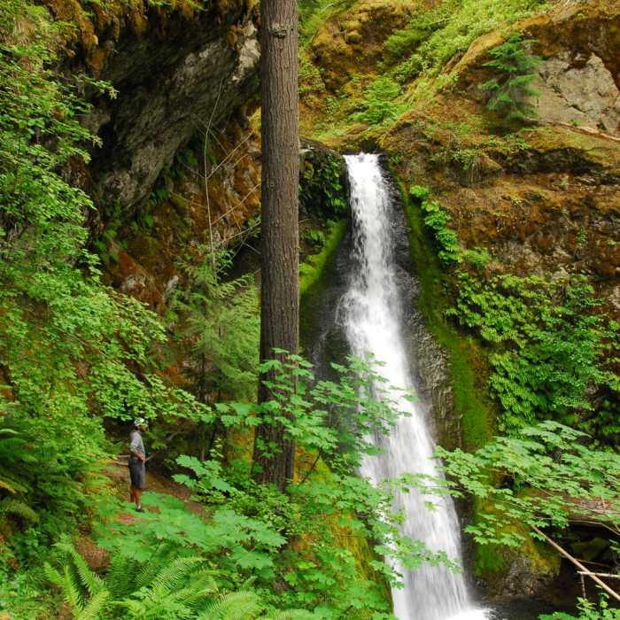 Near Camp Creek Falls Hike