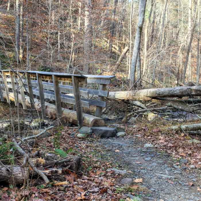 Hornback Creek Trail Near Hornbecks Creek Trail