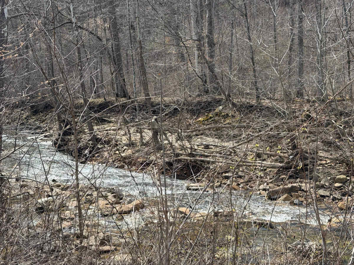 Turkey Run Road photo 2